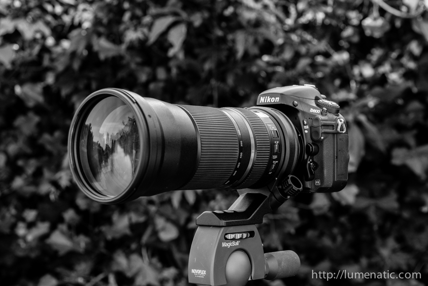 The Tamron 150600 mm telezoom lens