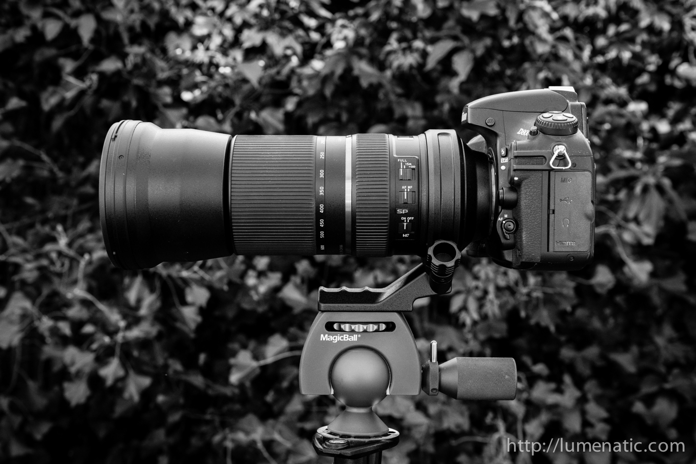 The Tamron 150600 mm telezoom lens